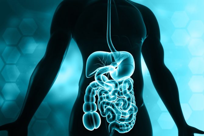 zapaljenske bolesti creva