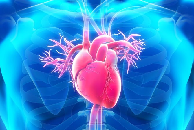 slabo srce može samo da se leči