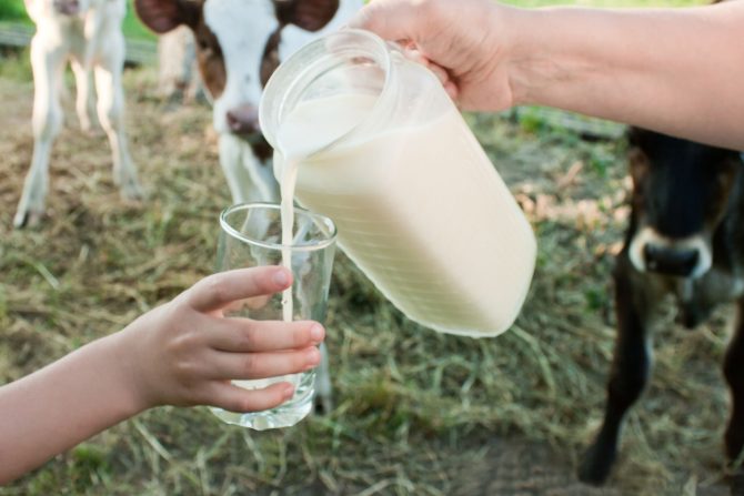 bademovo ili kravlje mleko