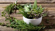 Ove tri biljke mogu da pomognu u eliminaciji najupornije bakterije od koje mnogi u Srbiji pate: Imate ih u kući