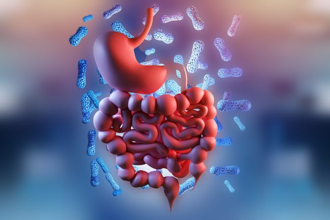 koliko su brza creva