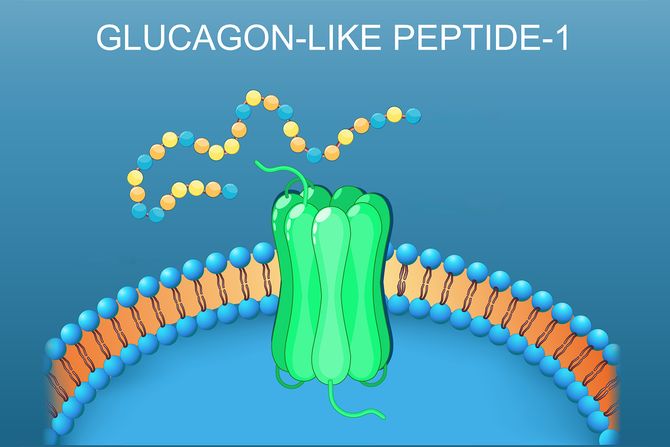 biotechpeptides.com retatrutide Retatrutide vs Tirzepatide vs Semaglutide: Key Differences in 2026 biotechpeptides.com retatrutide Retatrutide vs Tirzepatide vs Semaglutide: Key Differences in 2026