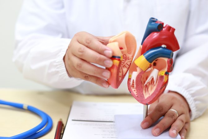 srčano mišićno tkivo