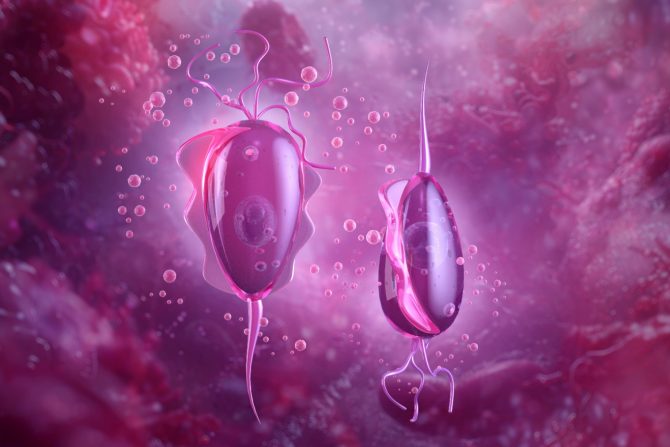 Seksualno prenosive bolesti