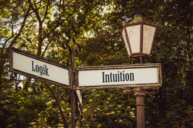 intuicija