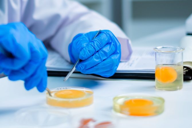 proteomika kokošja jaja rak