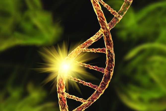 spinalna mišićna atrofija