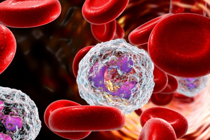 povišeni neutrofili i sniženi leukociti