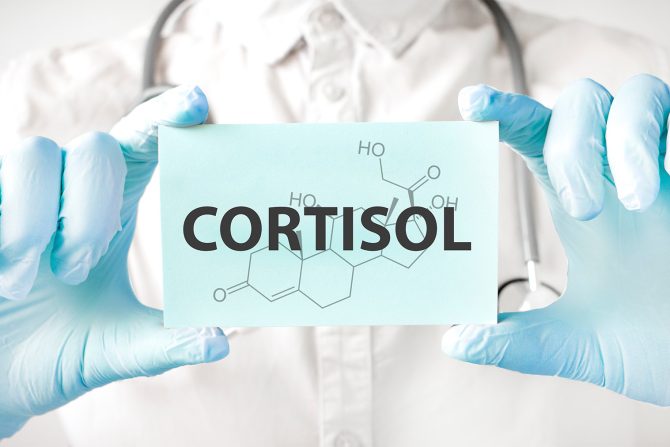 kortizol