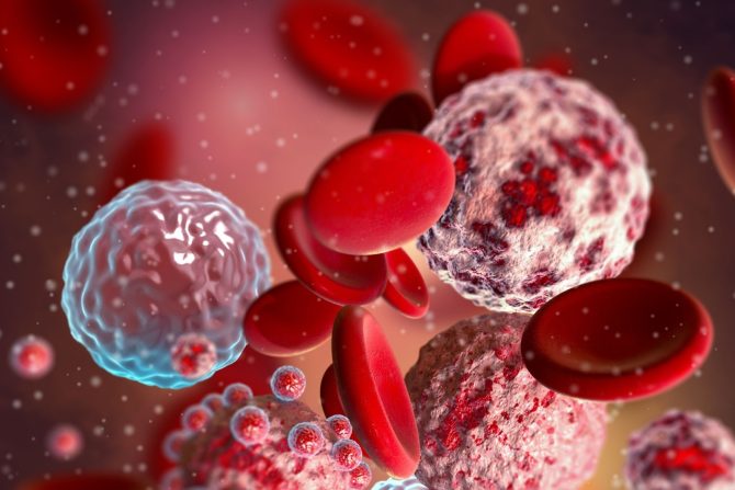 mutirana krvna zrnca