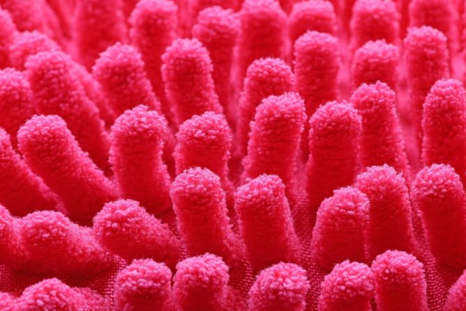 specifične bakterije,