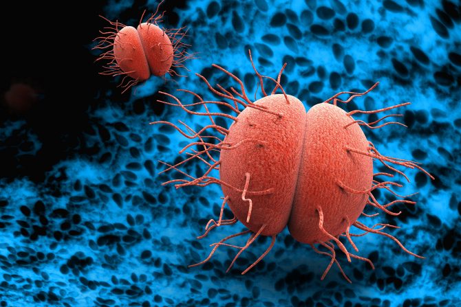 novootrkiveni antibiotik