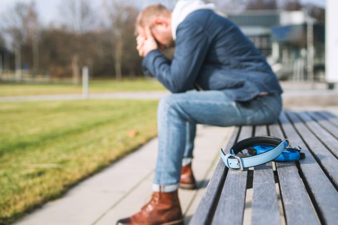 Smrt kućnog ljubimca