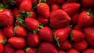 Jagode ne bi trebalo da jedu ljudi koji spadaju u jednu od ovih 5 kategorija
