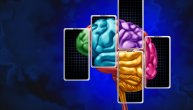 Zavisnost od interneta: Šta se dešava u glavama ljudi koji su konstantno „online“