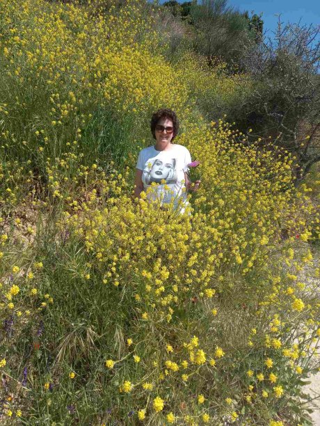 Rak dojke Žaklina 2