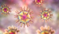 Uobičajeni herpes virus može da „prevari” imuni sistem čoveka, naučnici otkrili kako da to spreče