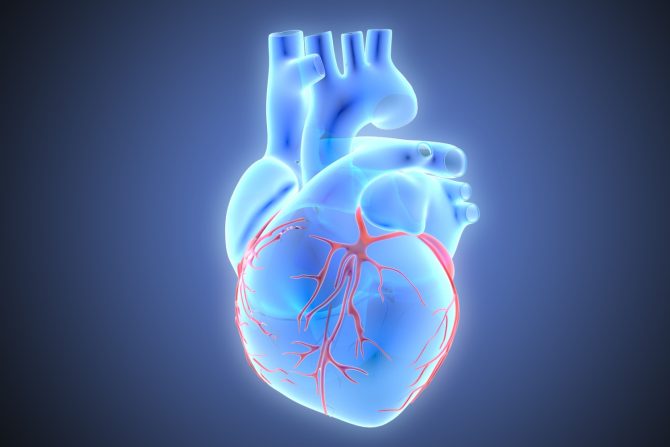 Bolest glavne leve koronarne arterije