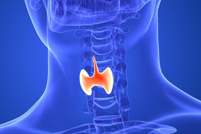 Štitna žlezda