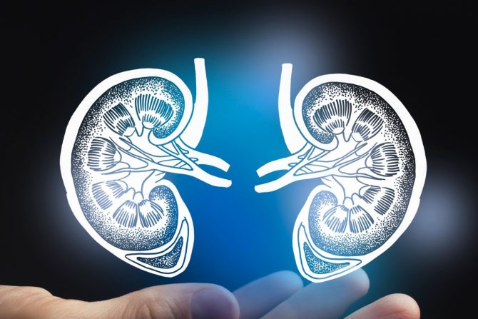 hronična bolest bubrega