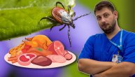 Prvi put u Srbiji otkrivena alergija na crveno meso posle ujeda krpelja: Dr Pavle Banović objašnjava sve o alfa-gal sindromu