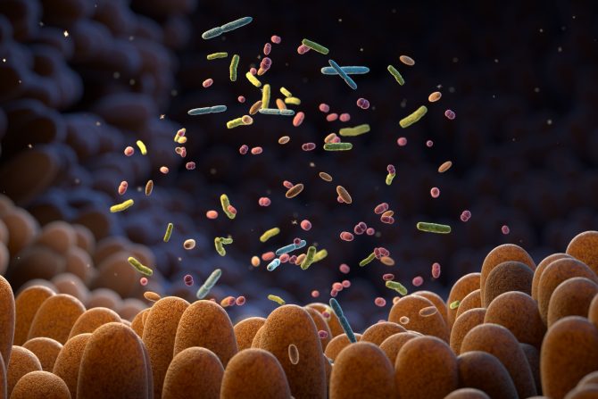 Bakterije kolibaktin