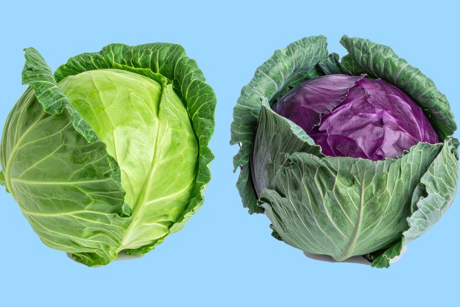 Kupus obloge osteoartritis kolena