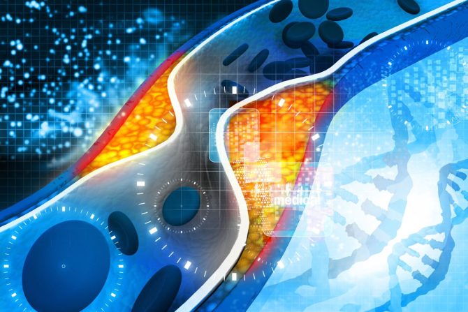 holesterol i trigliceridi