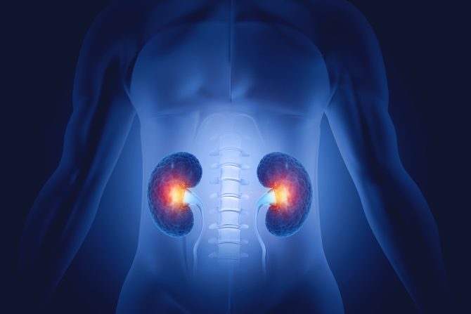 Hronična bolest bubrega