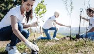 Secite drveće i čekajte astmu, žitelji velikih gradova sve teže dišu, krivac je beton, navodi nova studija