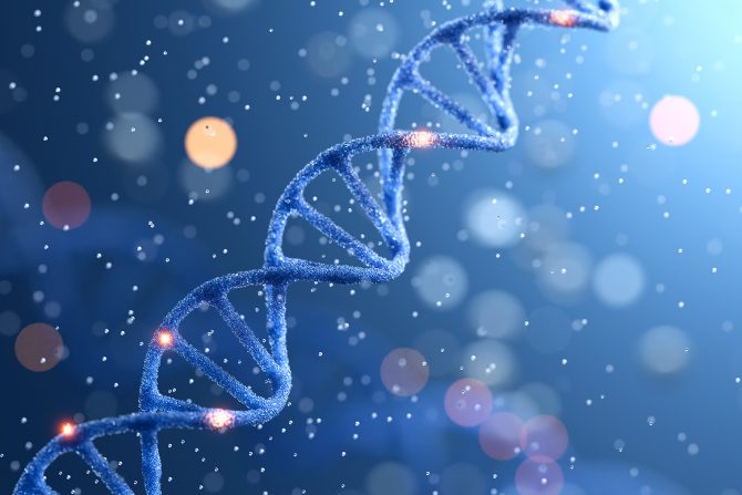 regenerativna medicina