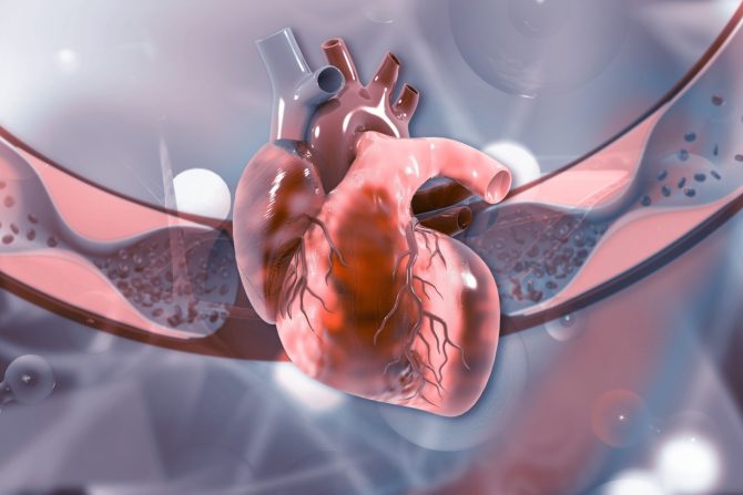 upala srčane maramice