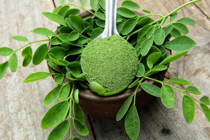 moringa