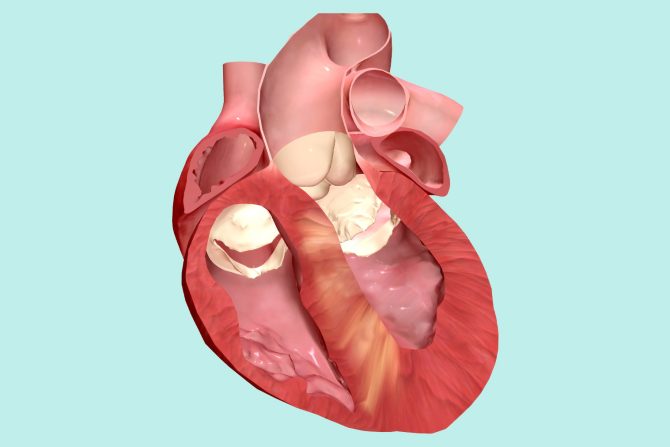 dijabetes menja strukturu srca