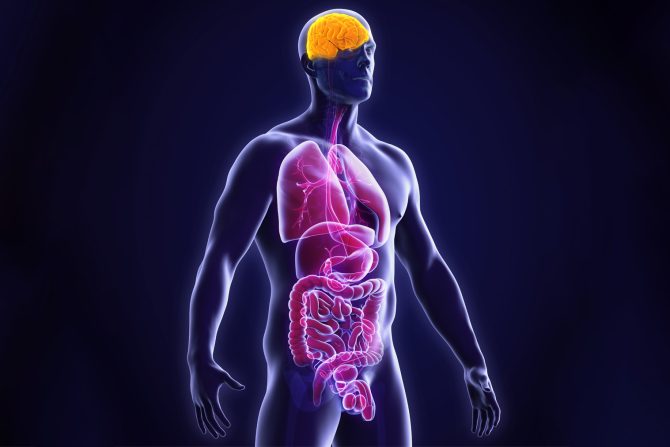 „perovskitna kamera“