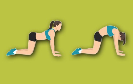 mačka kamila vežba