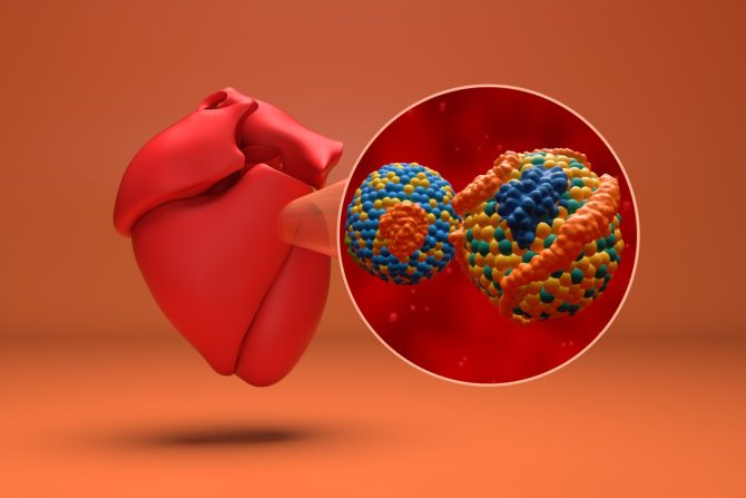 vrednosti lipoprotein (a)