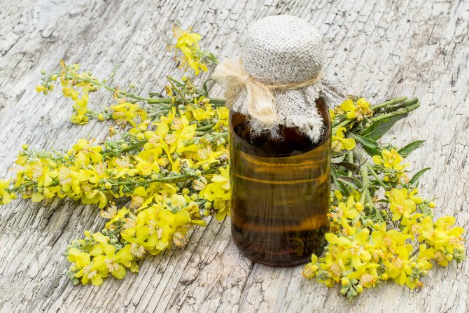 detoksikacija pluća