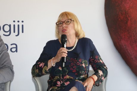 Profesor dr vesna srećković dimitrijević