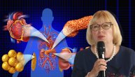 Metabolički sindrom izaziva vaskularne komplikacije i vodi nas u koronarnu bolest, objašnjava prof. dr Vesna Dimitrijević – Srećković