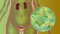 Antibiotici nisu uvek neophodni: Ovo su nove, dokazano efikasne terapije za urinarne infekcije