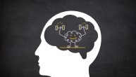 Mozak nije mišić, ali mu je i dalje potrebna vežba: Kako izgleda „vežbanje“ uma