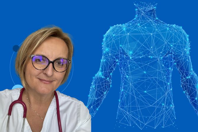 U telu ima oko 600 limfnih čvorova, koji su smešteni naročito uz velike krvne sudove i račve krvnih sudova