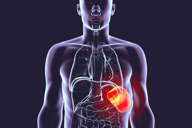 Postoje stanja koja su hitna kada je slezina u pitanju