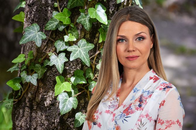 bršljan, fitoterapija