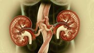 Bergerova bolest dugo traje. Ako se ne leči može da dovede do otkazivanja bubrega