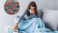 Mislite da je grip, a nije: virus o kojem se malo govori sve je prisutniji