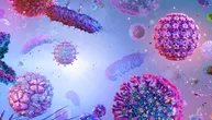Sa svih strana napadaju nas i virusi ili bakterije: Šta je opasnije za čoveka i kako da se zaštitimo?