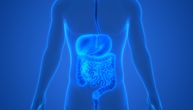 Šta je peristaltika, gde počinje i zašto naša creva moraju neprekidno da se „kreću” da bismo bili zdravi