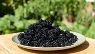 Kako kupine utiču na nivo glukoze u krvi, mogu li da ih jedu i osobe sa dijabetesom?